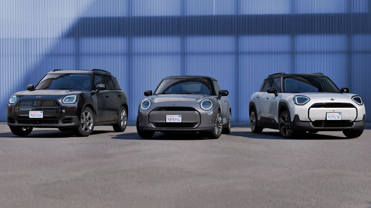 Flota MINI Renting Emperesas